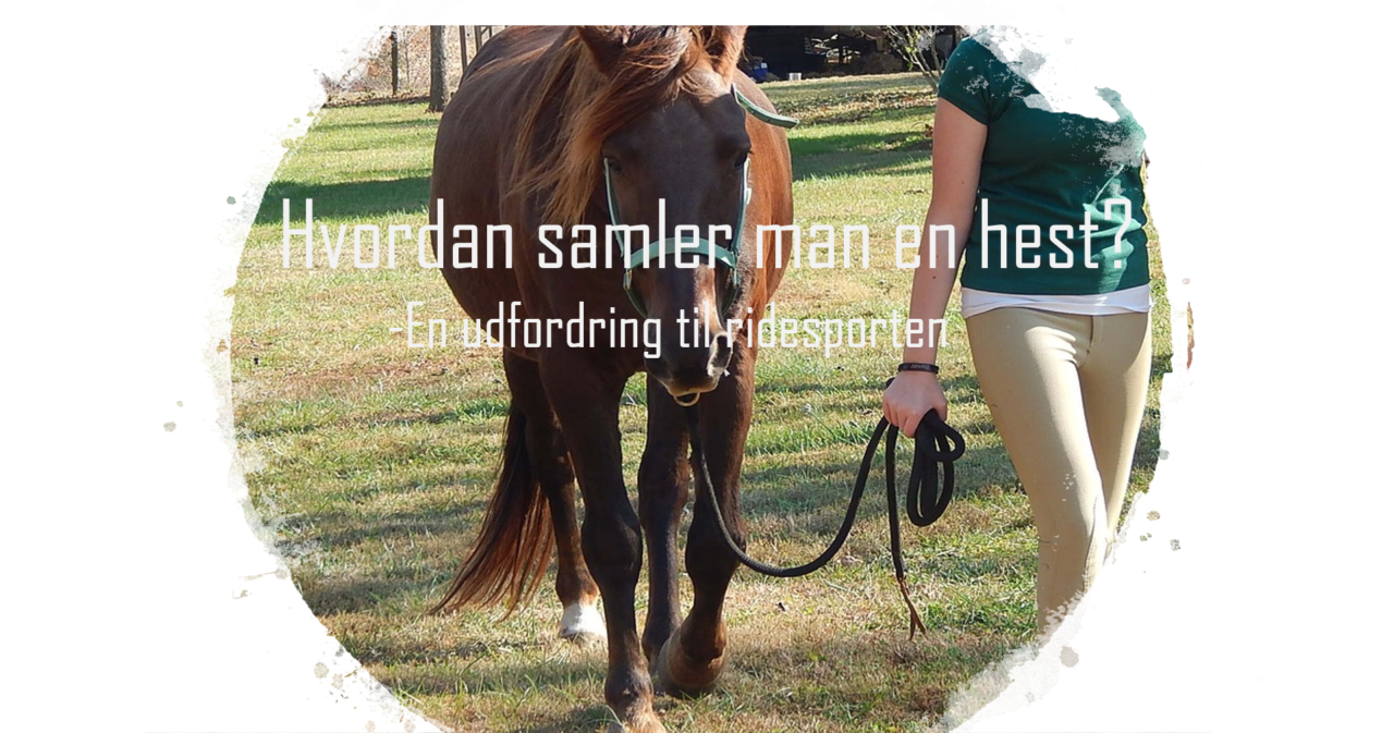 Hvordan samler man en hest?